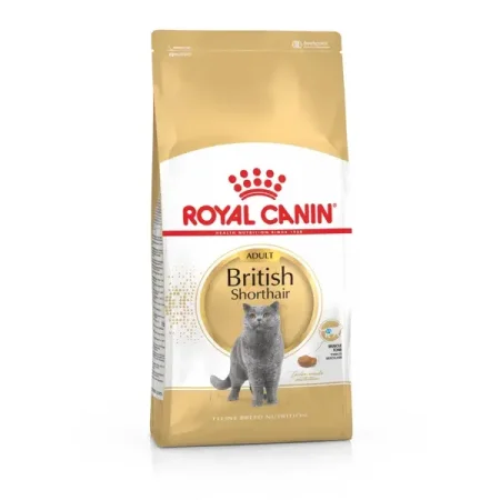 אוכל לחתולים Royal Canin British Shorthair