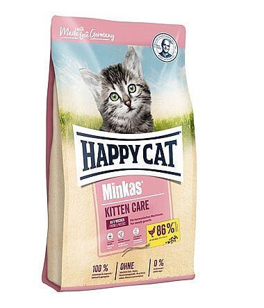 הפי קט מינקס לגורי חתולים Happy Cat