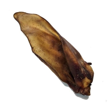 אוזן  גאמפו  באפלו